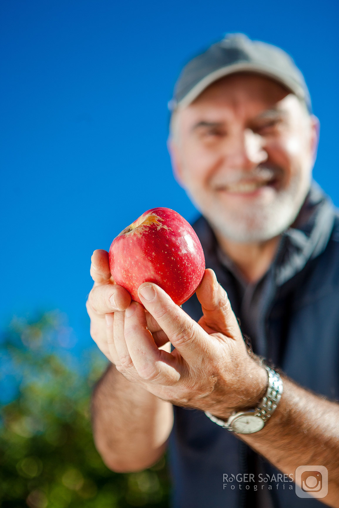 mãos homem agricultor ator plantação cultivo