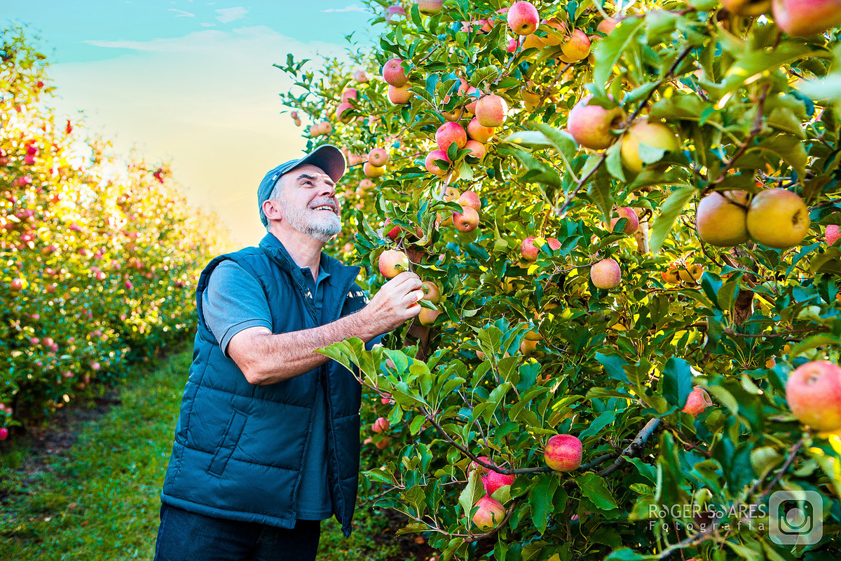 mãos homem agricultor ator plantação pés folhas galhos árvore