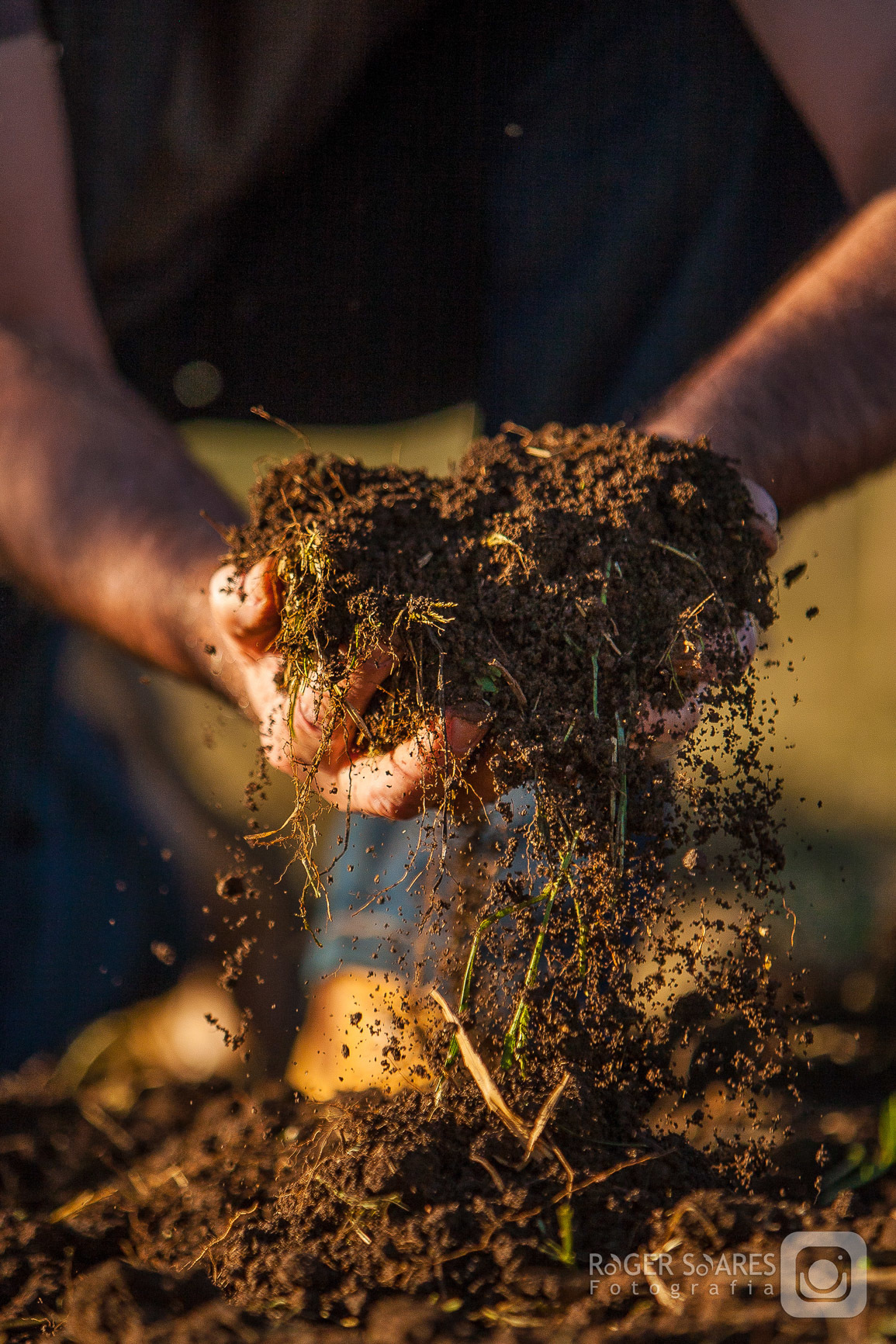 raizes terra mãos toque mexendo 