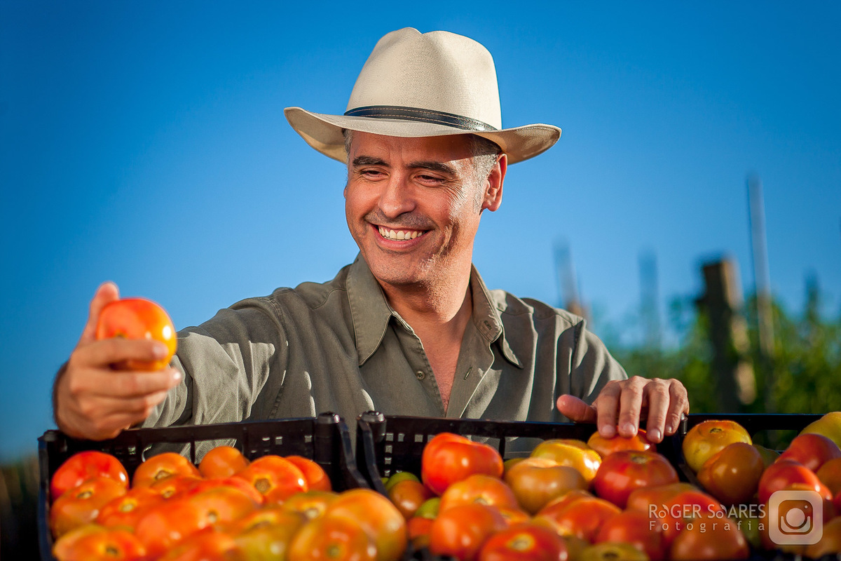 cestos de tomates vermelhos sol homem sorrindo feliz chapéu