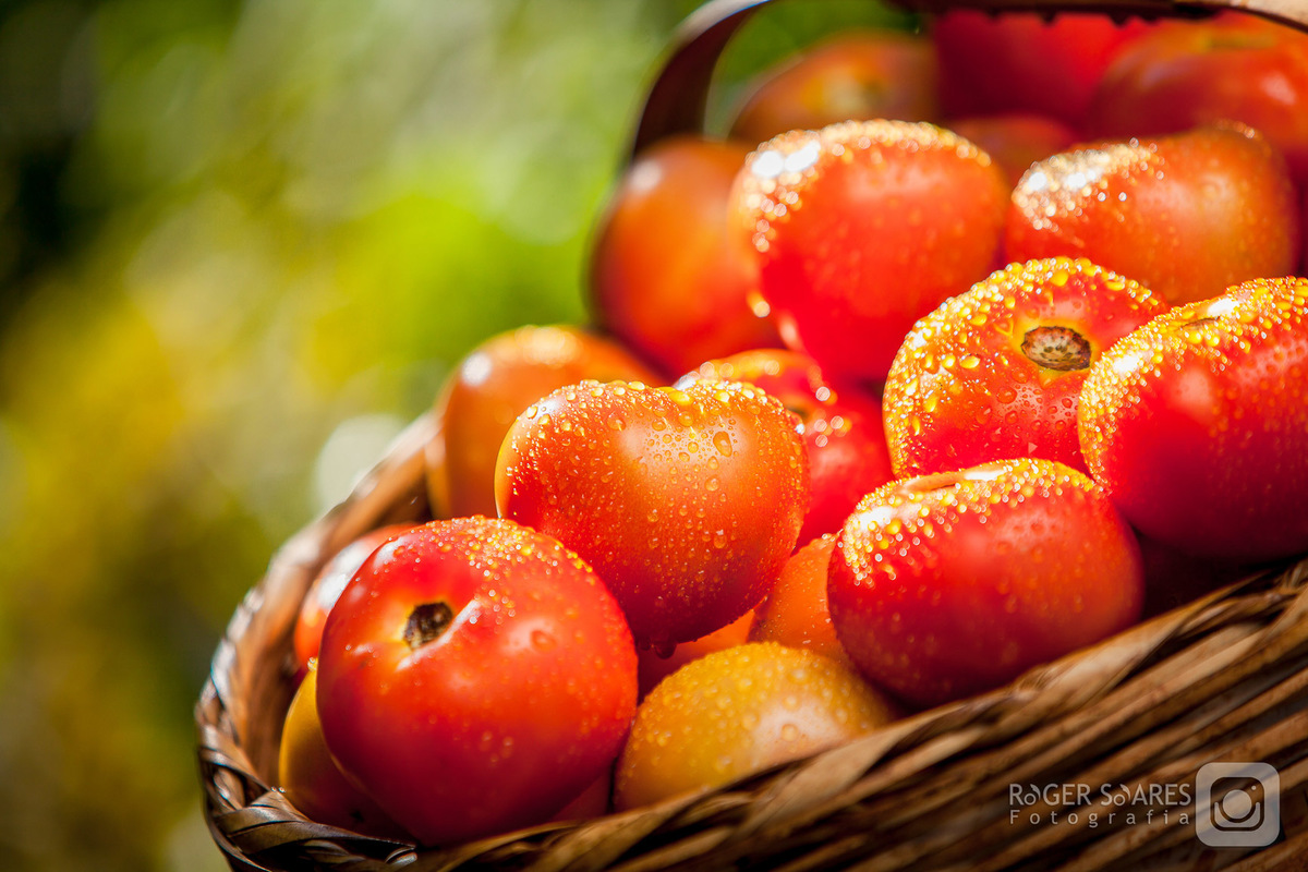 packshot tomates vermelhos closes úmidos molhados naturais saudáveis vegetais frutas BASF
