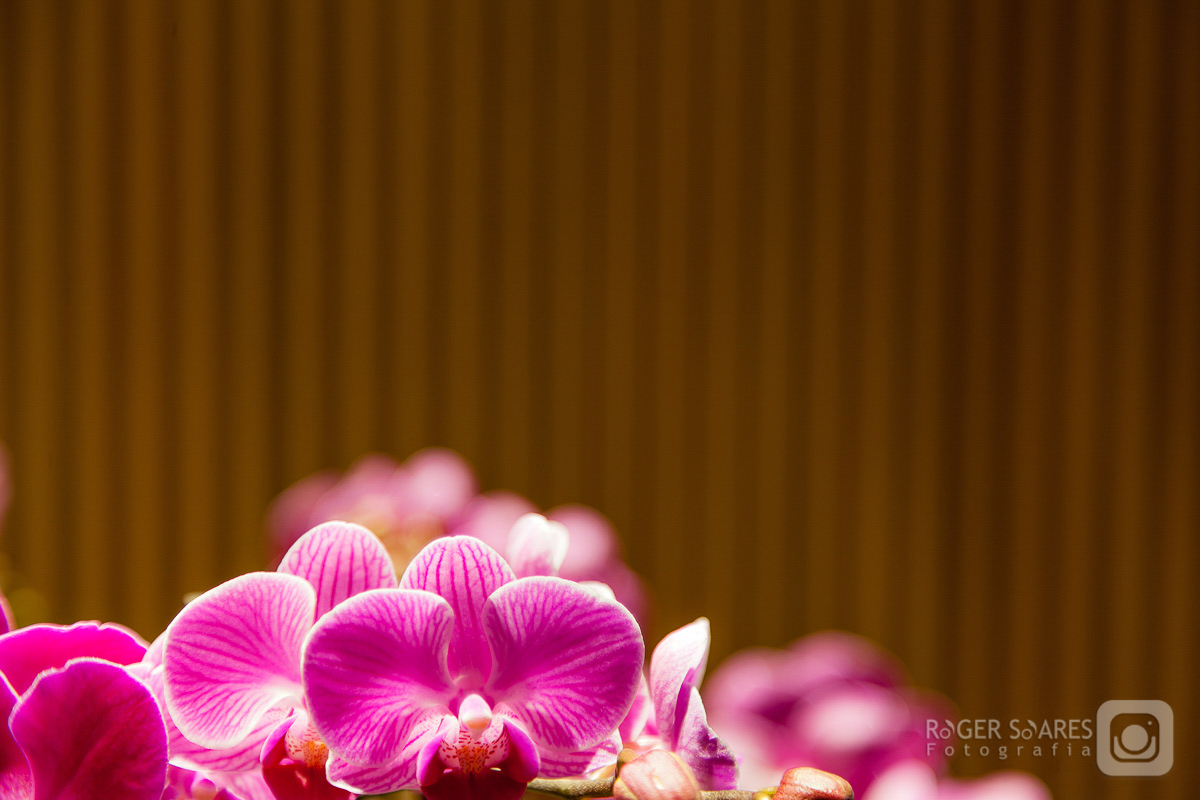 Sala Hall de Entrada Recepção Logotipo Marca Desing de Interiores Decoração Flores Pedras Verde Mesas Tampos Sofá reunião Advogados Advocacia Direito Prédio Torre Empresarial Nestle Avenida das Nações Unidas Marginal Pinheiros São Paulo Capital Flores