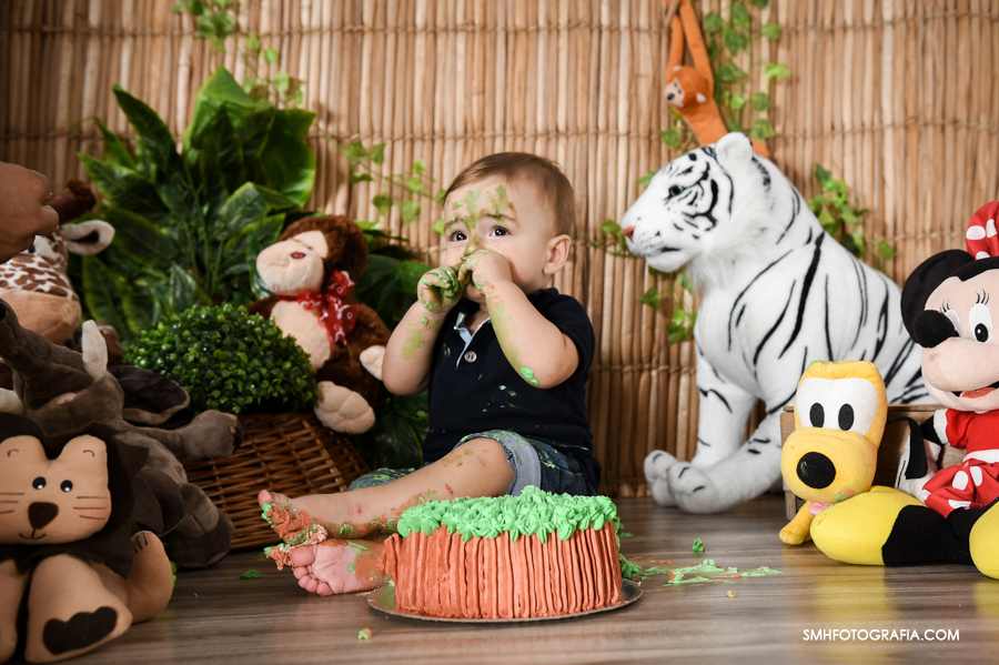 Smash the cake ensaio infantil bolo de aniversario arthur smh fotografia fotografia de bebe foto infantil cenario safari mickey americana sp