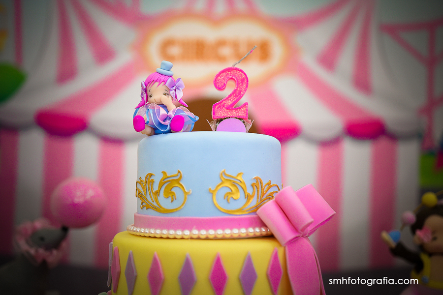 flamis kids aniversario infantil manuela 02 aninhos smh fotografia tema circo santa barbara doeste sp