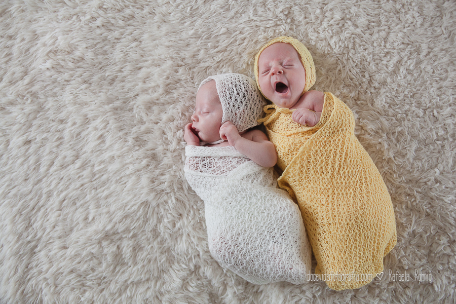 foto sessão Newborn gêmeos Caxias do Sul