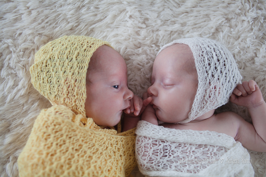 foto sessão Newborn gêmeos Caxias do Sul