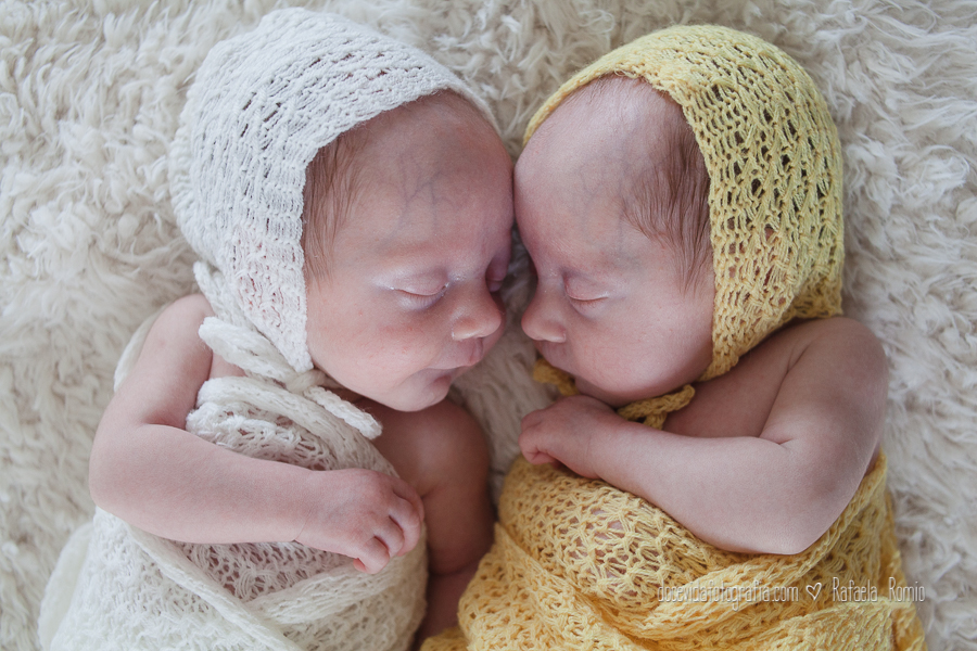 foto sessão Newborn gêmeos Caxias do Sul