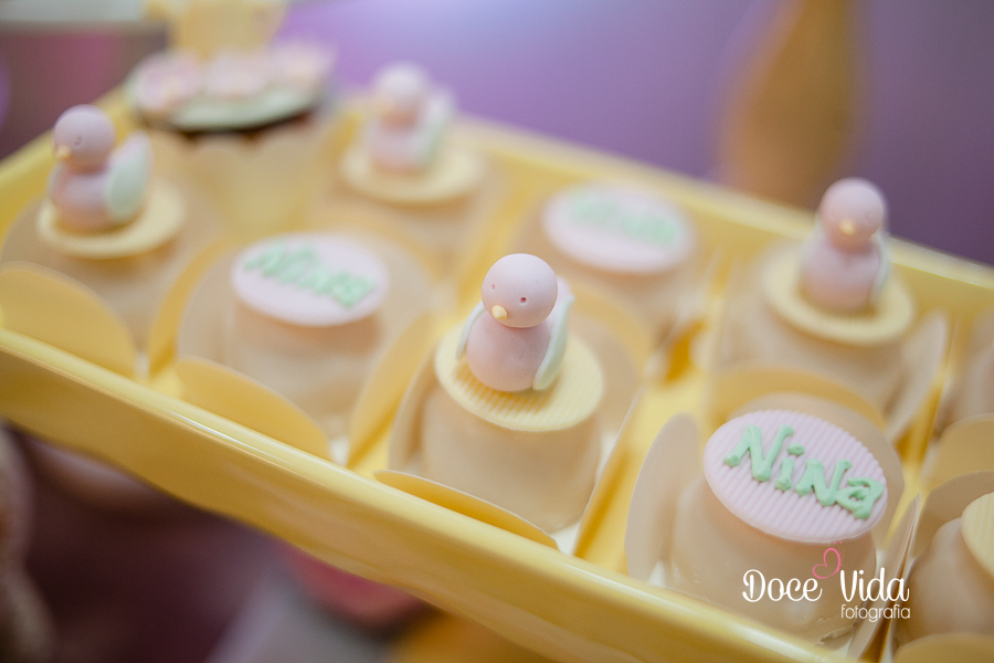 FOTOGRAFIA FESTA DE ANIVERSÁRIO INFANTIL 1 ANO