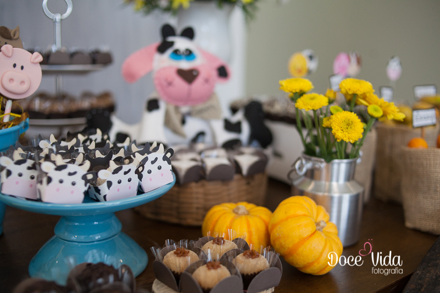 FOTOGRAFIA DECORAÇÃO FESTA  DE ANIVERSÁRIO FAZENDINHA GÊMEOS CAXIAS DO SUL