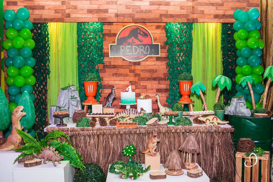 FOTOGRAFIA FESTA ANIVERSÁRIO INFANTIL HAKUNA CAXIAS DO SUL