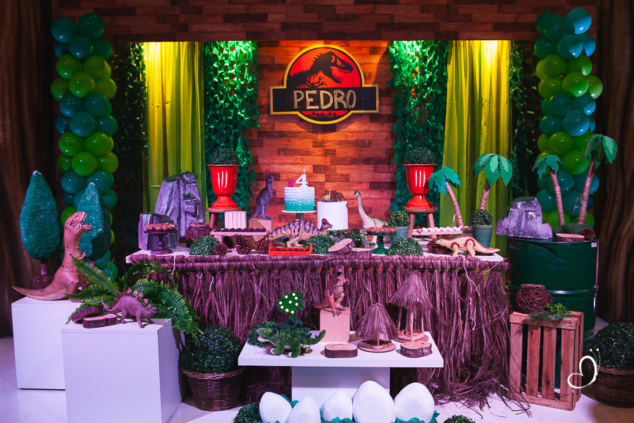 FOTOGRAFIA FESTA ANIVERSÁRIO INFANTIL HAKUNA CAXIAS DO SUL