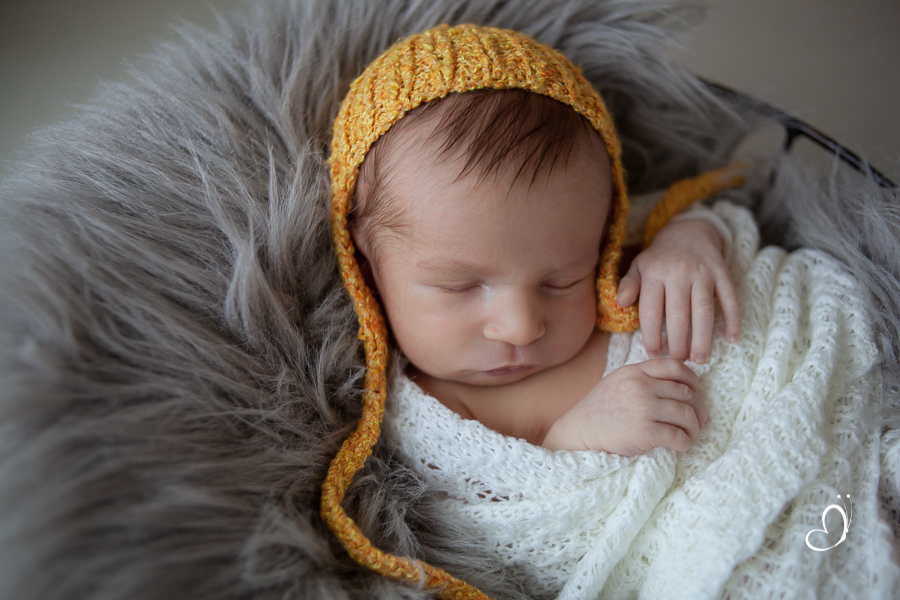 Fotografia Familia Recem Nascido Arthur 