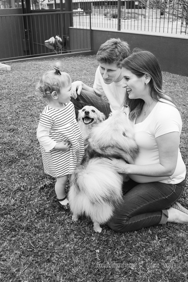 fotografia famila lifestyle com cachorros