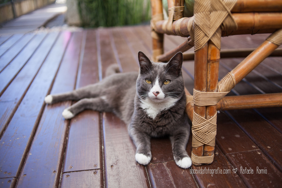 FOTOGRAFIA ENSAIO GESTANTE CAXIAS DO SUL