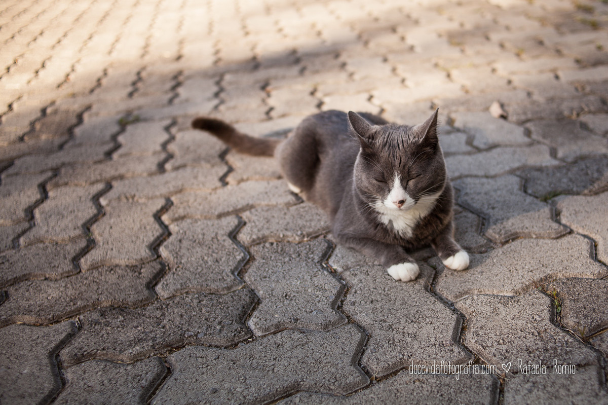 FOTOGRAFIA ENSAIO GESTANTE CAXIAS DO SUL