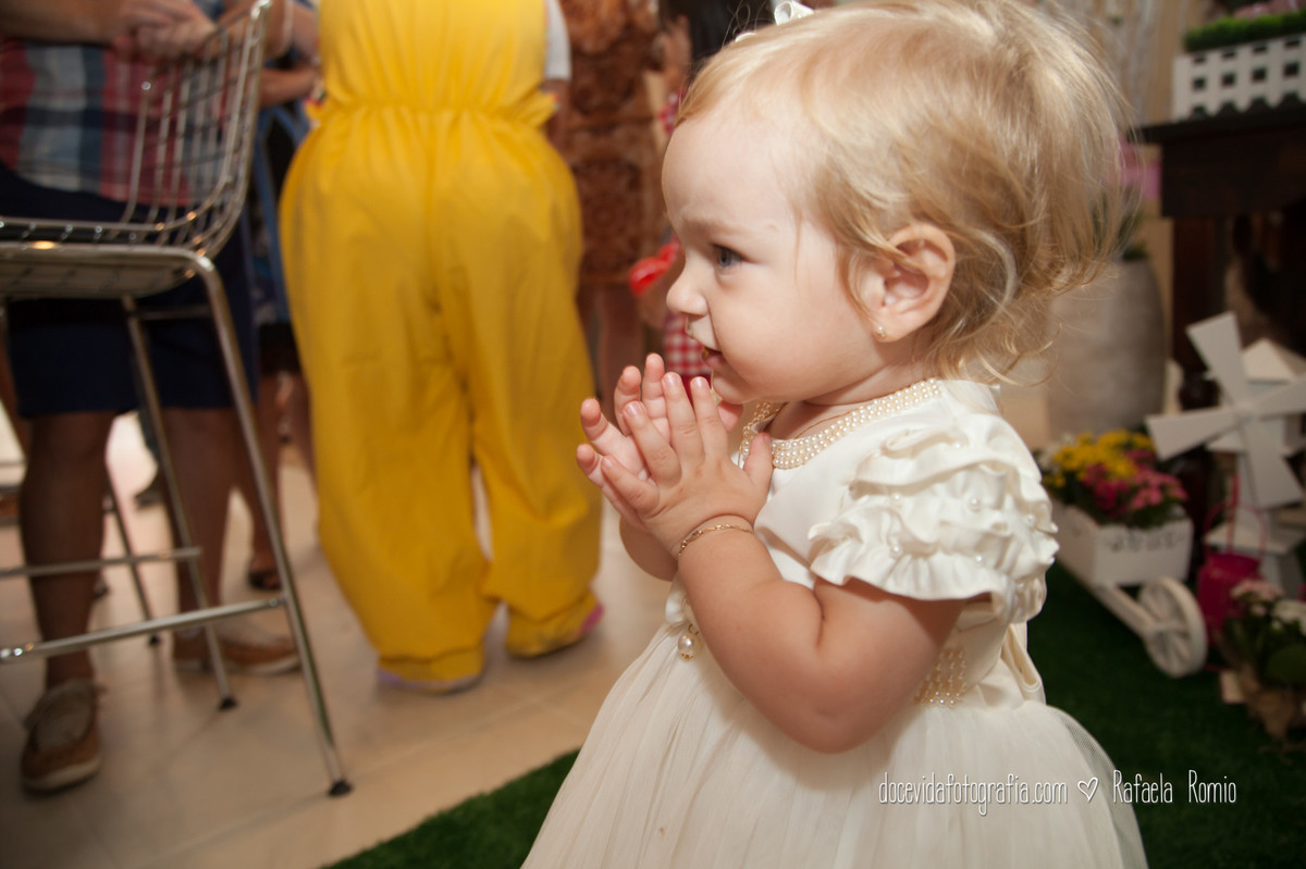 fotos festa aniversario Infantil Caxias do Sul