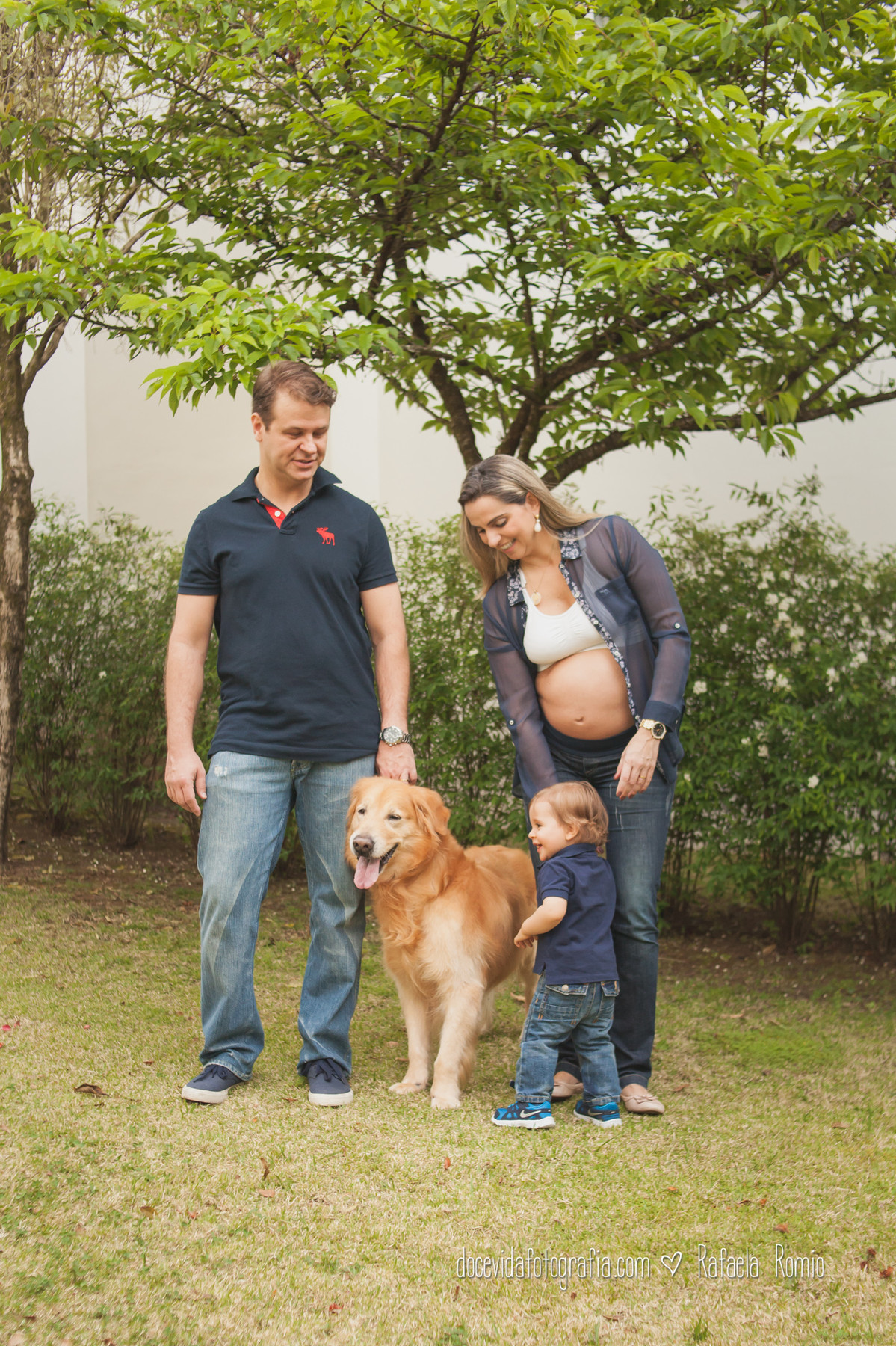 fotografia gestante familia pet Caxias do Sul