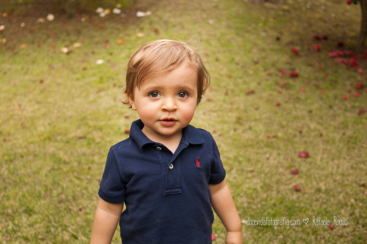 book gestante familia Caxias do Sul