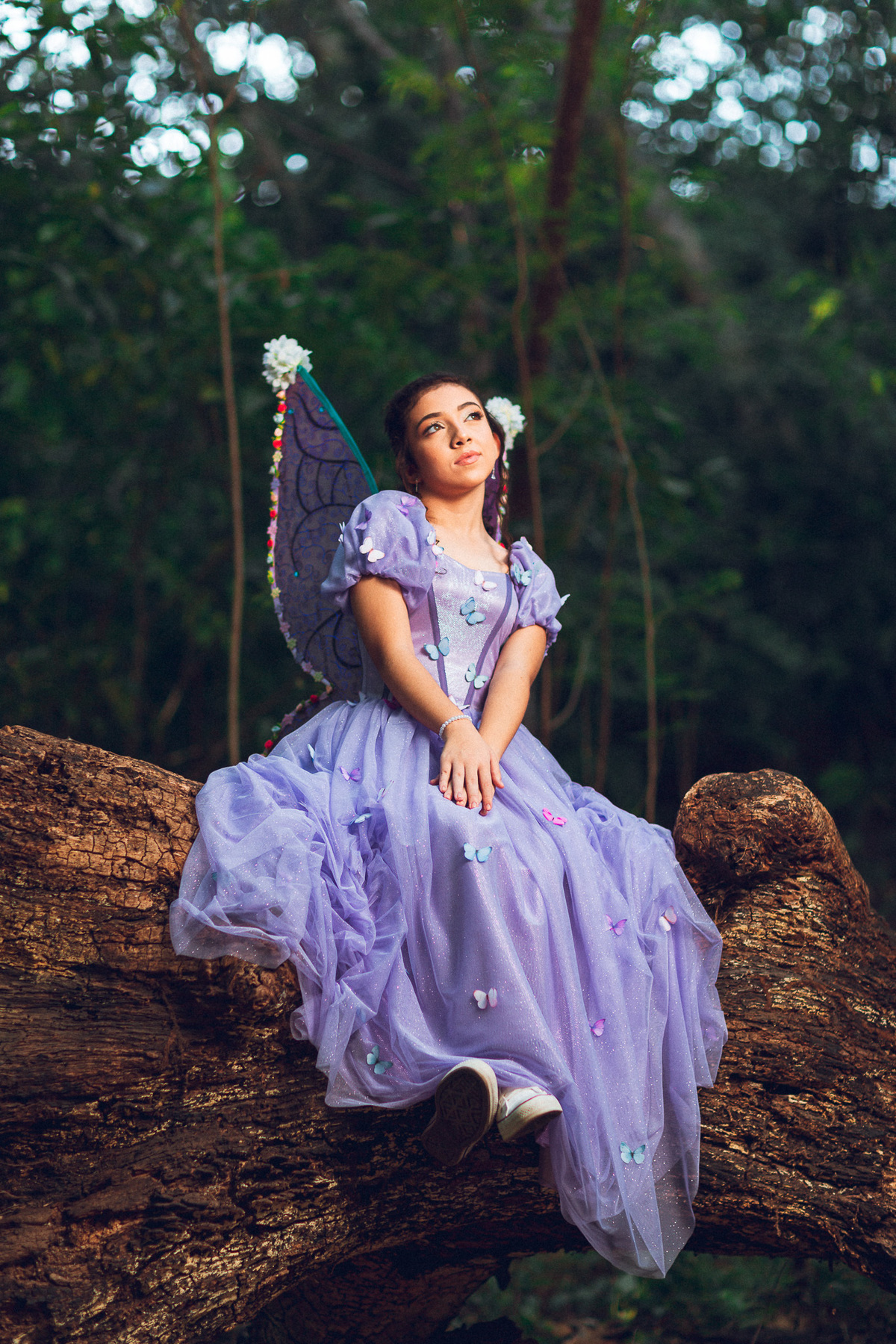 debutante-15anos-debutar-fadas-borboletas-ensaio debutante-ensaio fadas-book 15 anos-fotografia-ricardo lima fotografo-parque do cocó