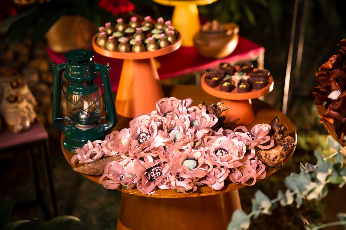 festa de aniversário-vaquejada-nordeste-espaço caras