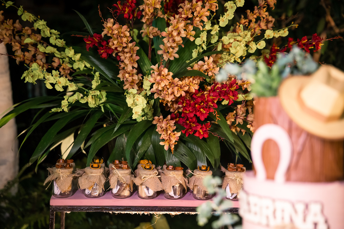 festa de aniversário-vaquejada-nordeste-espaço caras