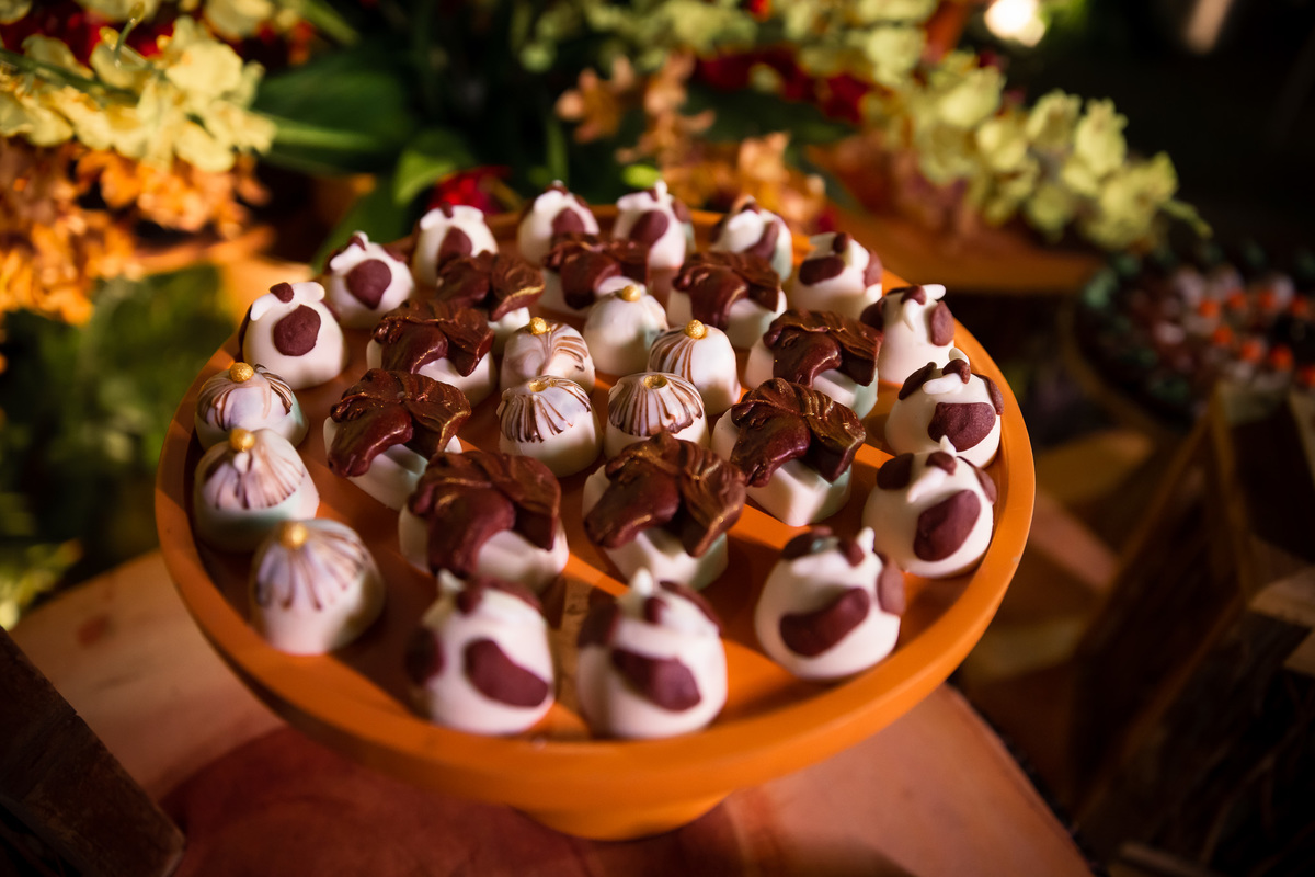 festa de aniversário-vaquejada-nordeste-espaço caras