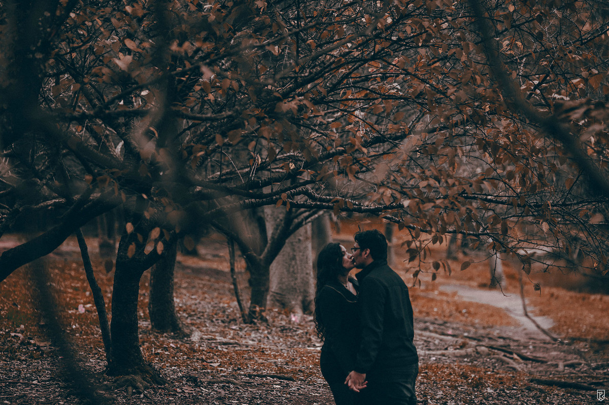 ensaio-casal-parque-ibirapuera-são-paul-ricardo-lima-fotografo-de-casamento