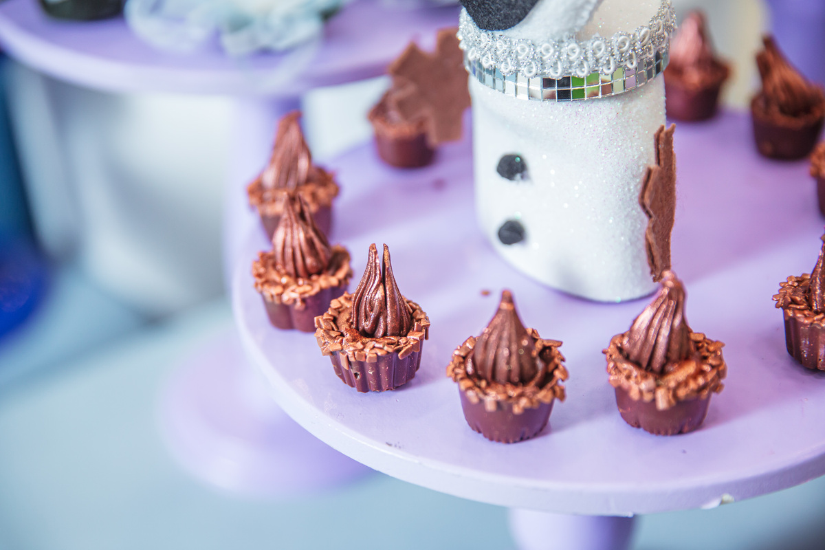 Crie um texto para meu site de fotografia falando sobre como foi fotografado a festa de 4 anos da Sophia Tema do aniversário: Frozen no buffet Dudabaluza