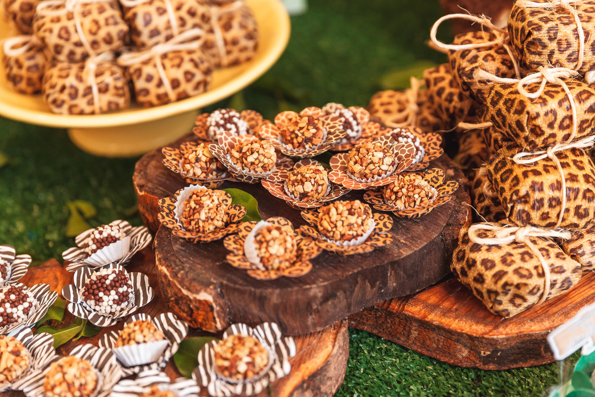 festa infantil-safari-plus buffet-criança-niver 1 ano-1 aninho