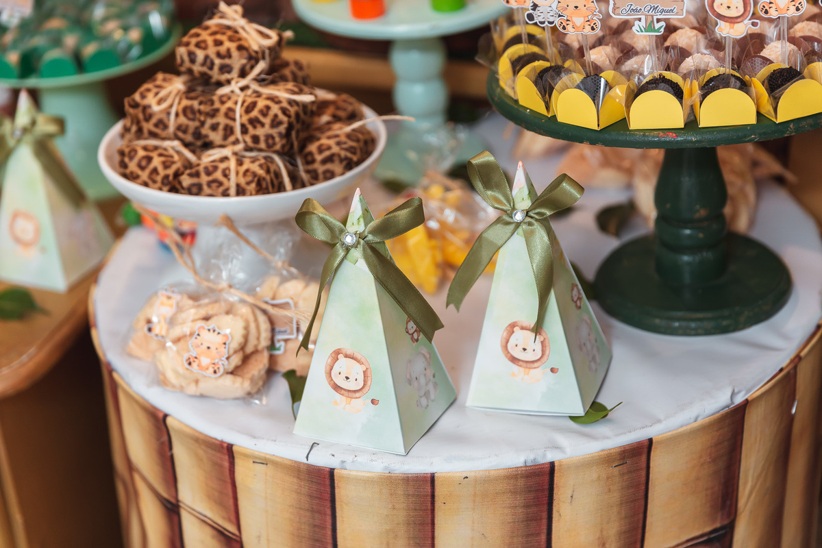 festa infantil-safari-plus buffet-criança-niver 1 ano-1 aninho