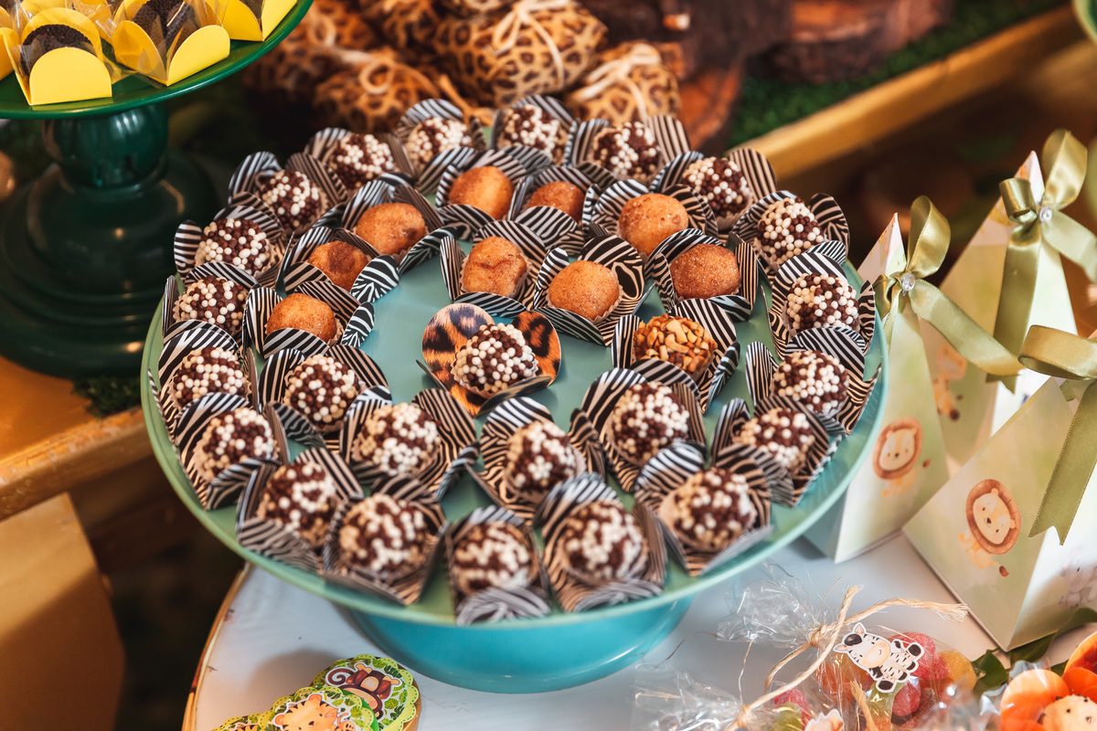 festa infantil-safari-plus buffet-criança-niver 1 ano-1 aninho