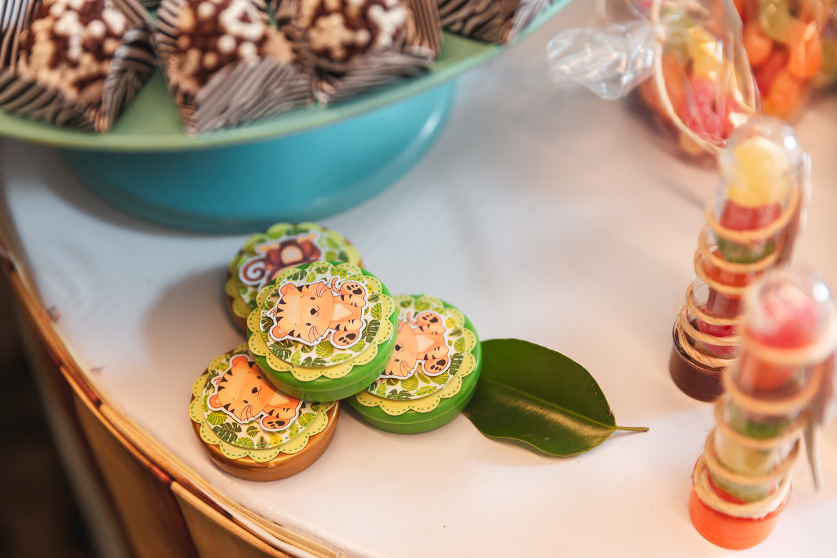 festa infantil-safari-plus buffet-criança-niver 1 ano-1 aninho