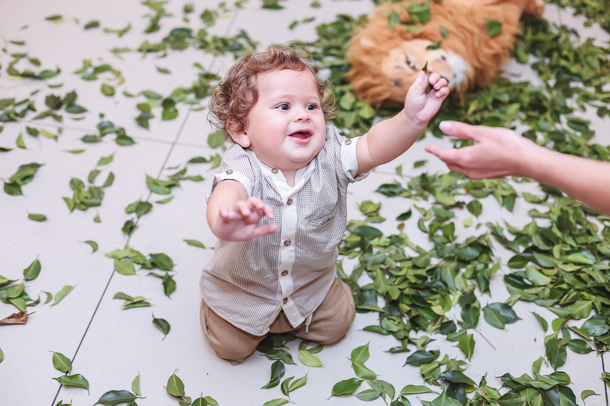 festa infantil-safari-plus buffet-criança-niver 1 ano-1 aninho