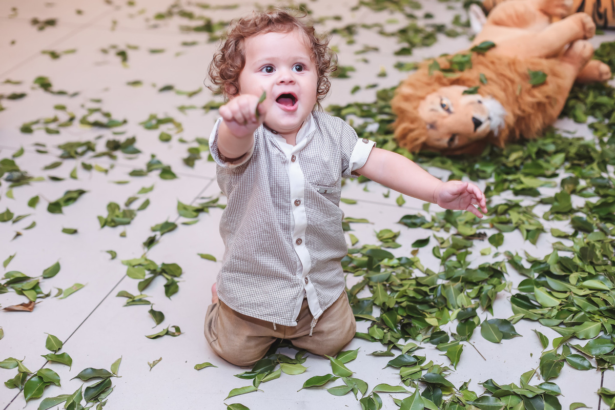 festa infantil-safari-plus buffet-criança-niver 1 ano-1 aninho