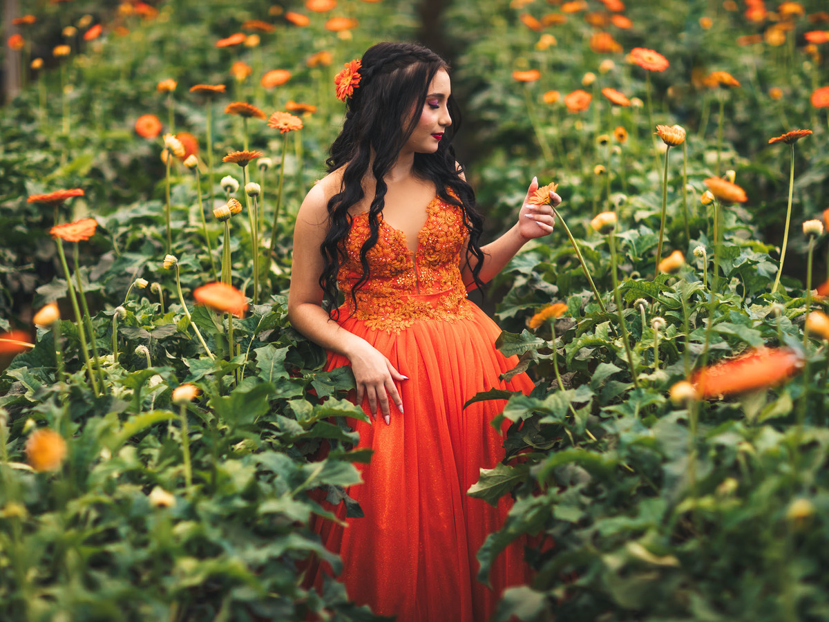 Debutante-15anos Ensaio-fotográfico Debutante São-Benedito-CE Floriculturas Flora-Fogaça-Reijers Juventude Beleza-natural Flores Fotografia-profissional Celebração Transição-vida-adulta Elegância Natureza Cores-vibrantes-chapeuzinho vermelho