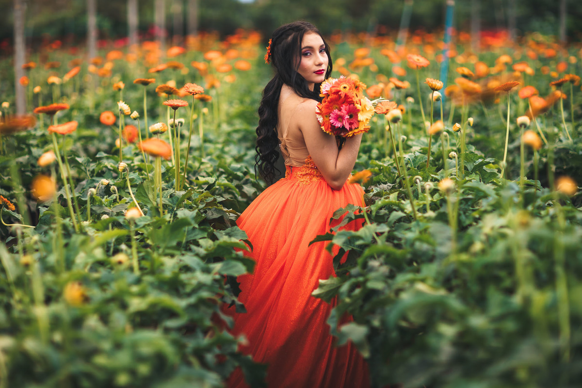 Debutante-15anos Ensaio-fotográfico Debutante São-Benedito-CE Floriculturas Flora-Fogaça-Reijers Juventude Beleza-natural Flores Fotografia-profissional Celebração Transição-vida-adulta Elegância Natureza Cores-vibrantes-chapeuzinho vermelho