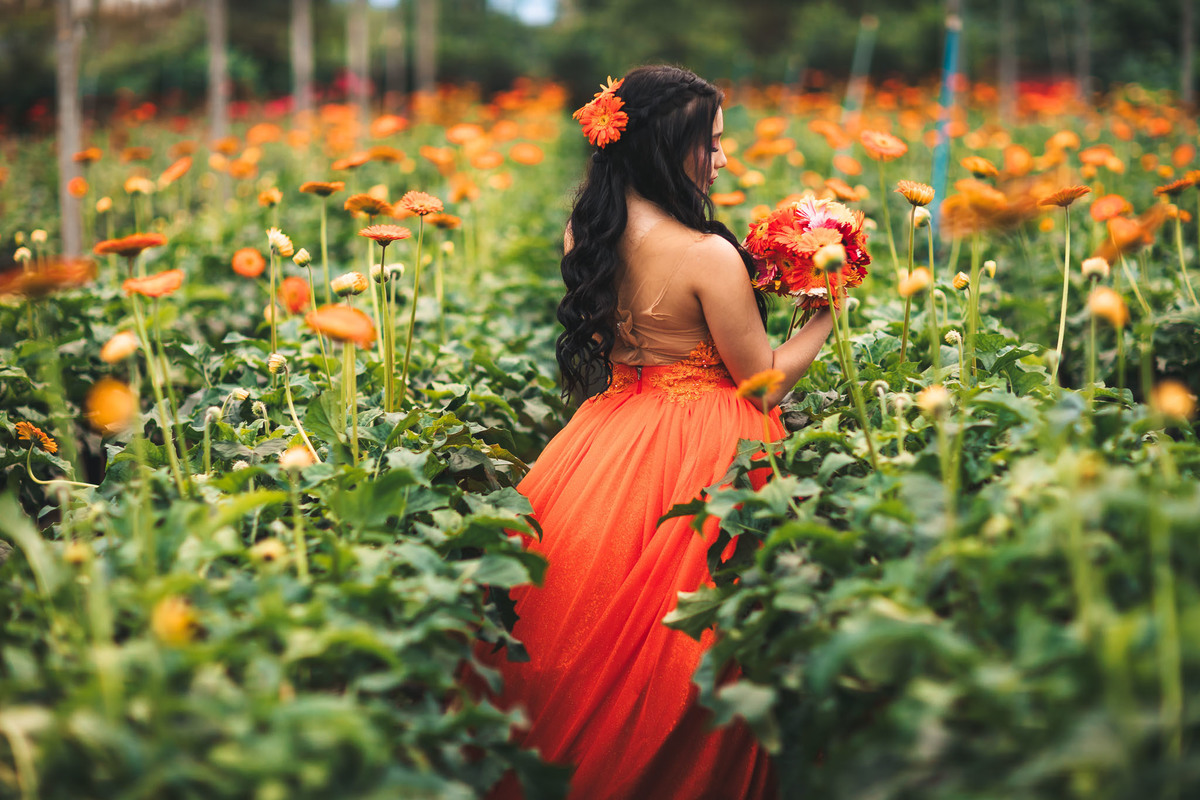 Debutante-15anos Ensaio-fotográfico Debutante São-Benedito-CE Floriculturas Flora-Fogaça-Reijers Juventude Beleza-natural Flores Fotografia-profissional Celebração Transição-vida-adulta Elegância Natureza Cores-vibrantes-chapeuzinho vermelho