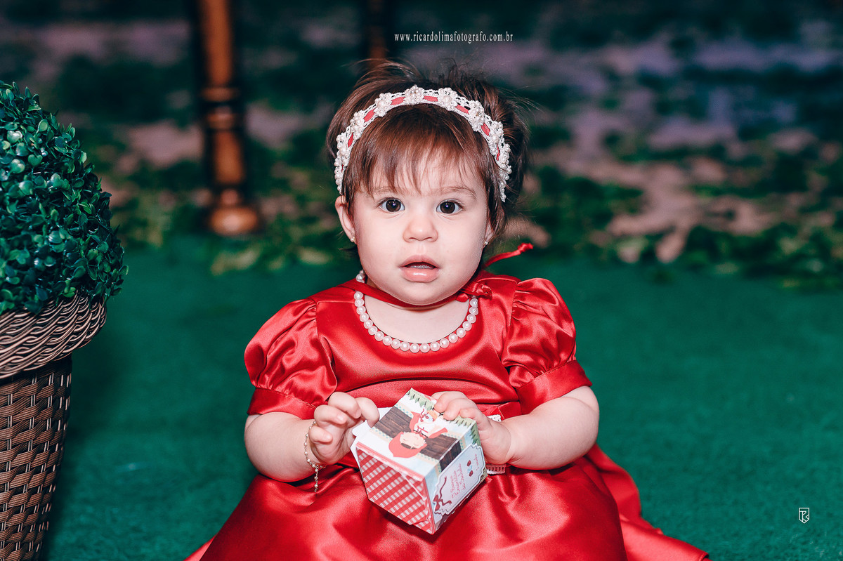 festa-infantil-tema-chapeuzinho-vermelho-buffet-oba-la-la-ricardo-lima-fotografo-infantil