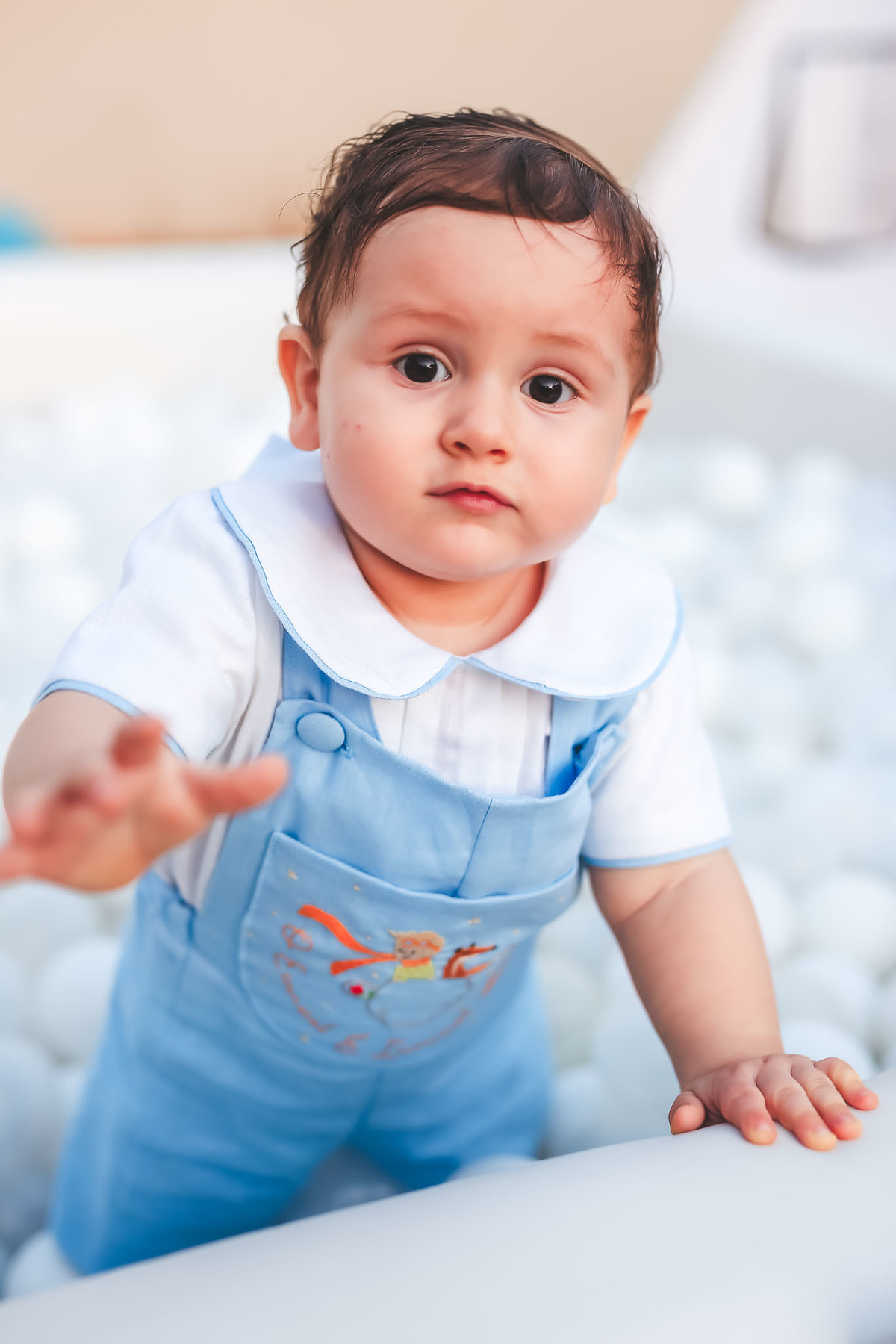 festa infantil-pequeno principe-1aninho-fotografia