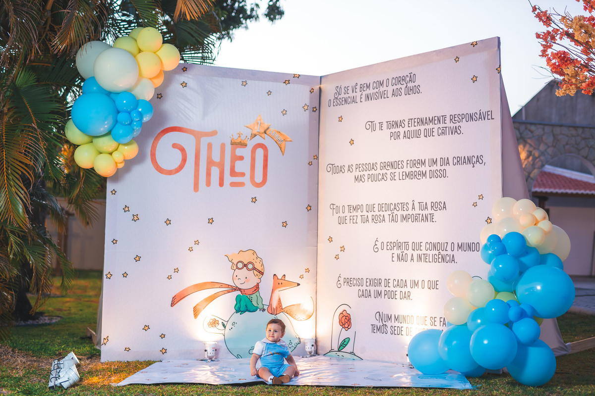 festa infantil-pequeno principe-1aninho-fotografia