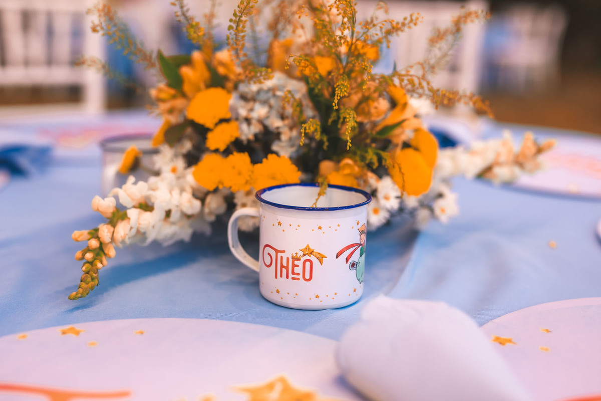 festa infantil-pequeno principe-1aninho-fotografia