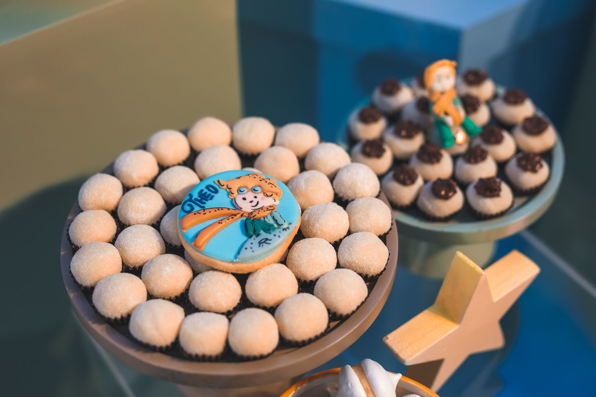 festa infantil-pequeno principe-1aninho-fotografia