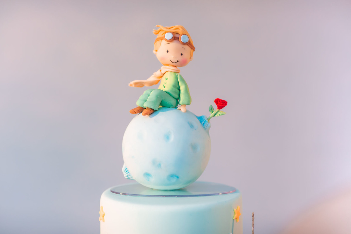 festa infantil-pequeno principe-1aninho-fotografia