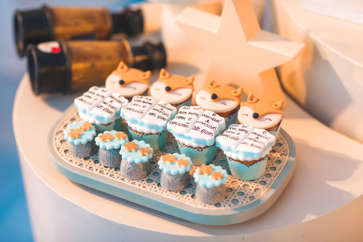 festa infantil-pequeno principe-1aninho-fotografia