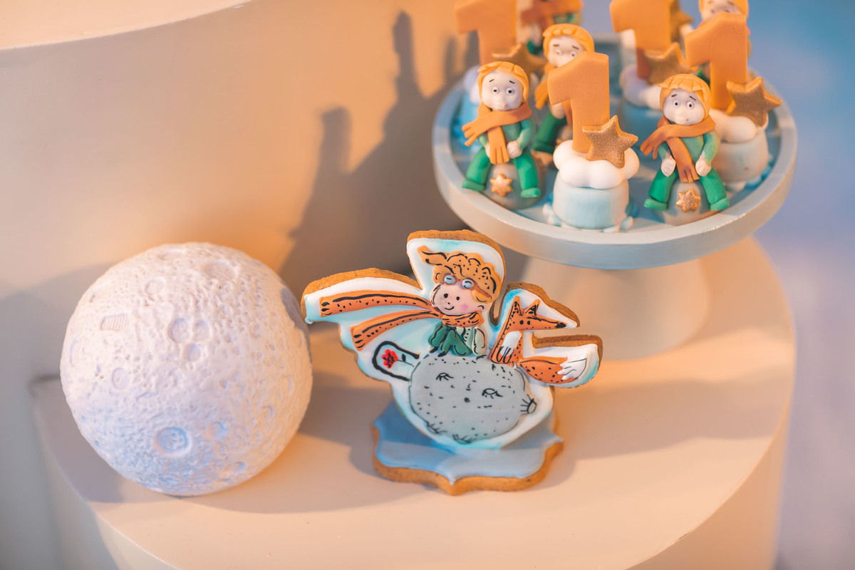 festa infantil-pequeno principe-1aninho-fotografia