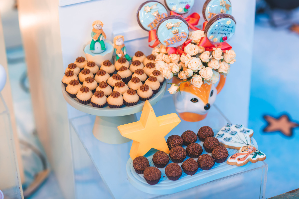 festa infantil-pequeno principe-1aninho-fotografia