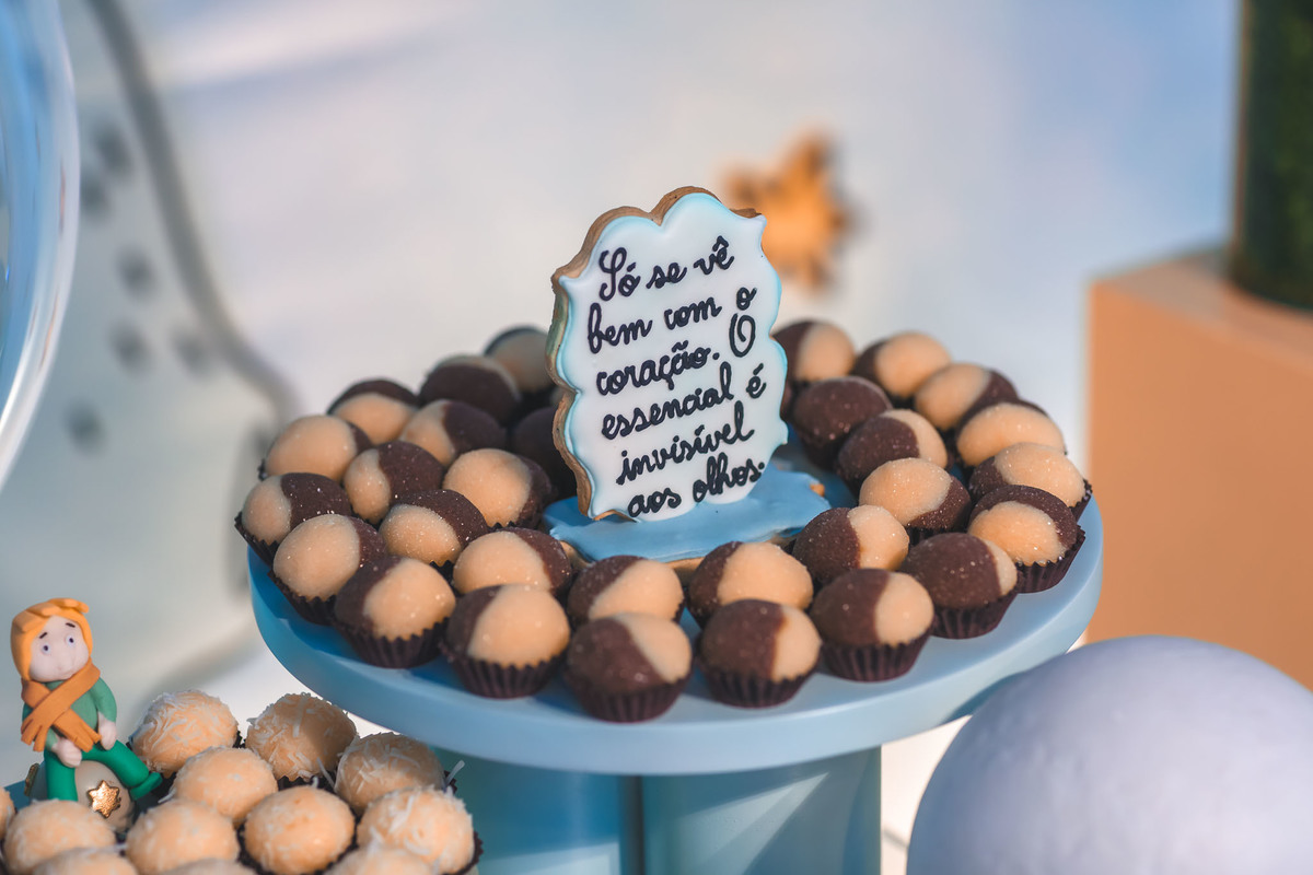 festa infantil-pequeno principe-1aninho-fotografia