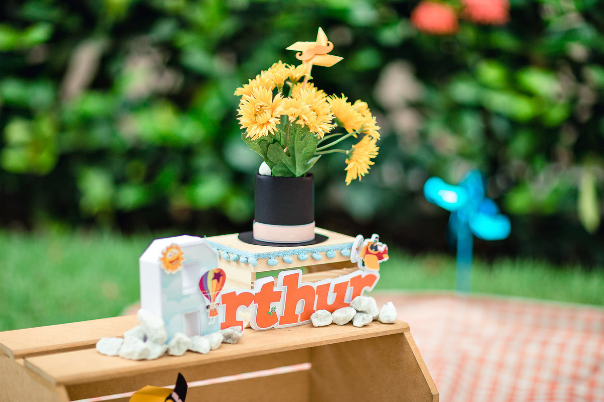 ensaio-smash-the-cake-mundo-bita-cores-piquinic-criança-fotografia-bolo-aniversário-1-aninho-diversão-book