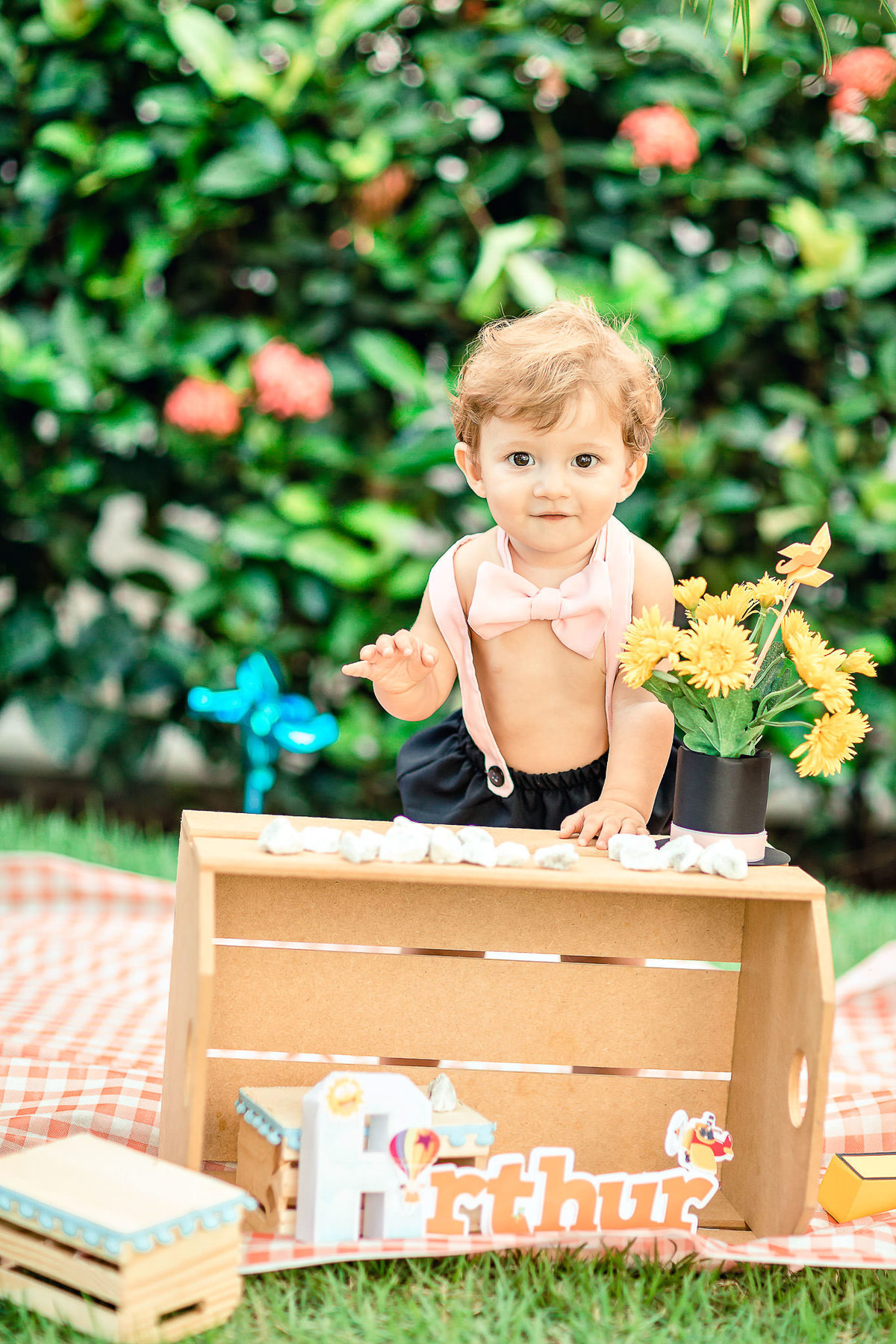 ensaio-smash-the-cake-mundo-bita-cores-piquinic-criança-fotografia-bolo-aniversário-1-aninho-diversão-book