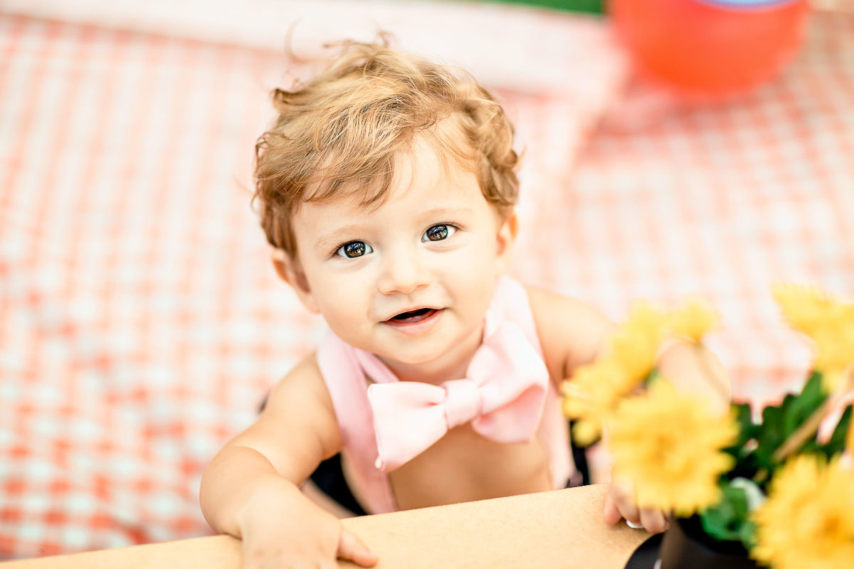 ensaio-smash-the-cake-mundo-bita-cores-piquinic-criança-fotografia-bolo-aniversário-1-aninho-diversão-book